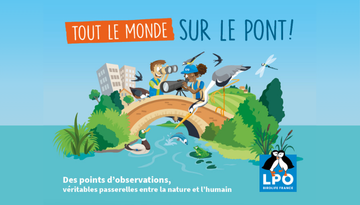 Tout le monde sur le pont